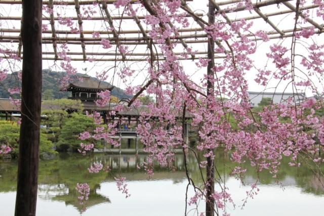 Rejoice Stay Kyoto Nijojo Minami Quioto Exterior foto